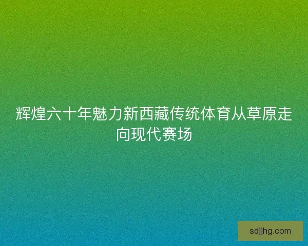 辉煌六十年魅力新西藏传统体育从草原走向现代赛场