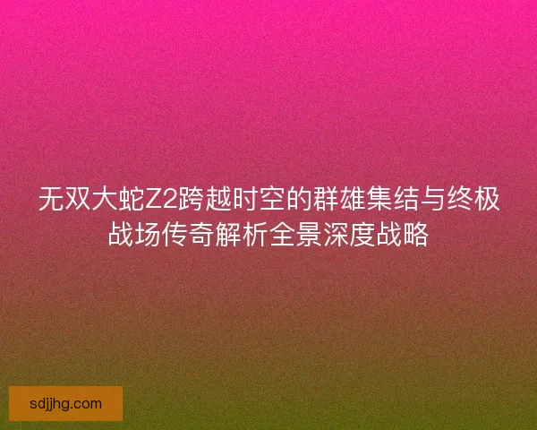无双大蛇Z2跨越时空的群雄集结与终极战场传奇解析全景深度战略