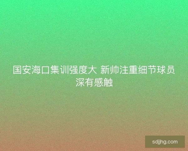 国安海口集训强度大 新帅注重细节球员深有感触 国安海口集训强度大 新帅注重细节球员深有感触